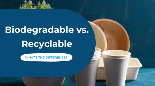 Biodegradable vs. Recyclable