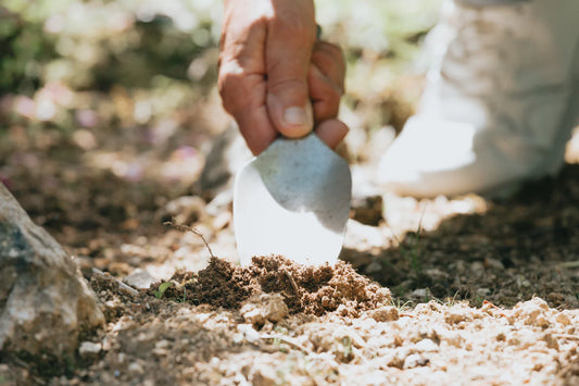 a closeup of a human hand holding a shovel. The shovel is being used dig up dirt.
